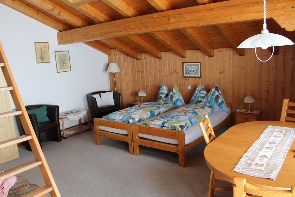 Chalet Spinne Grindelwald Camera foto