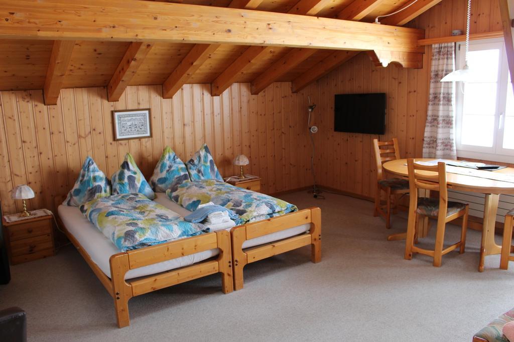 Chalet Spinne Grindelwald Camera foto