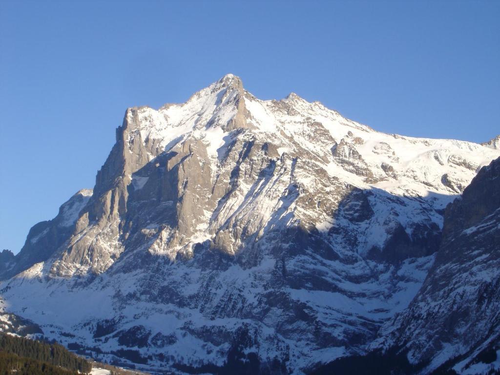 Chalet Spinne Grindelwald Camera foto